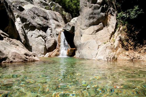 Hostal G�te Du Chalet Pietri