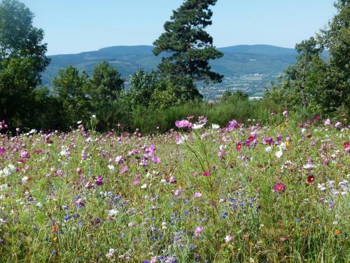 Bed & Breakfast Chambres D'h�tes - Baudelys