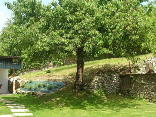 Apartamento Cote Jardin