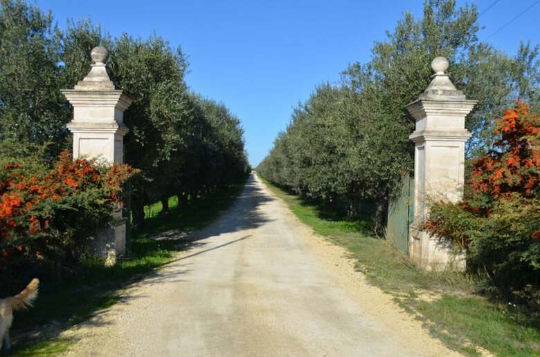 Apartamento Masseria Montedoro