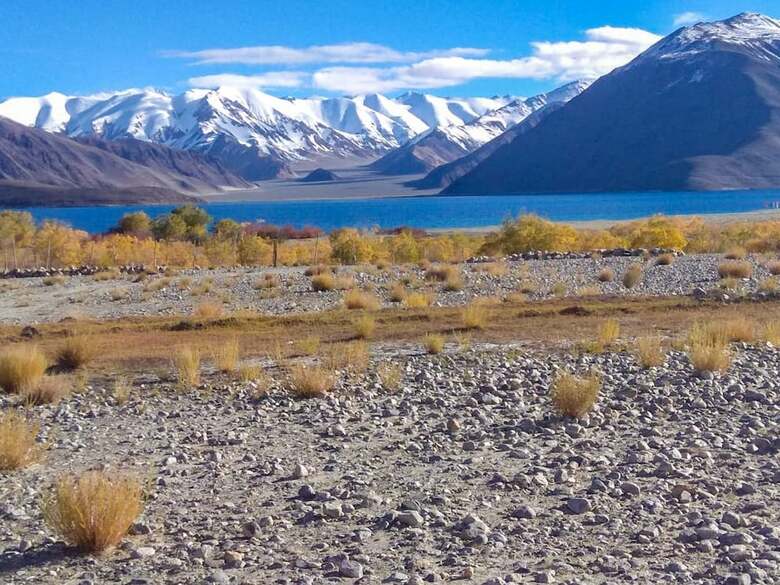 Hotel Camp Nirvana Pangong