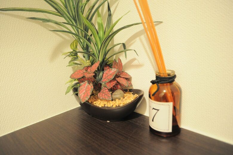 Apartamentos Rafore Shimanouchi II