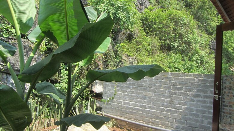 Hotel Rustic Houses Tam Coc