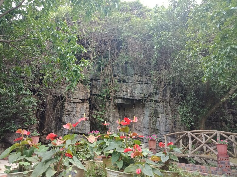 Hotel Rustic Houses Tam Coc