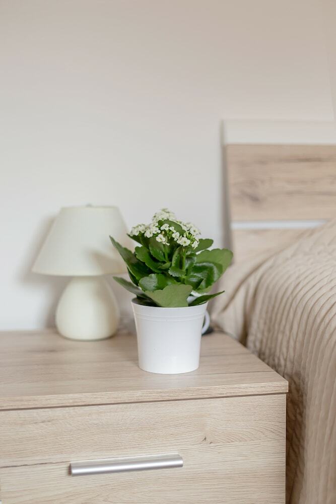 Apartments Valant