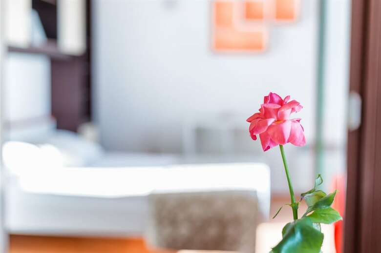 Apartments Zanze