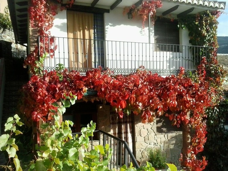 Agroturismo Casa Rural Conjunto Los Prados