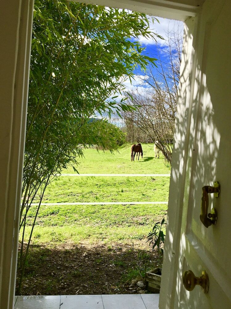 Bed & Breakfast La Colline Des Oliviers