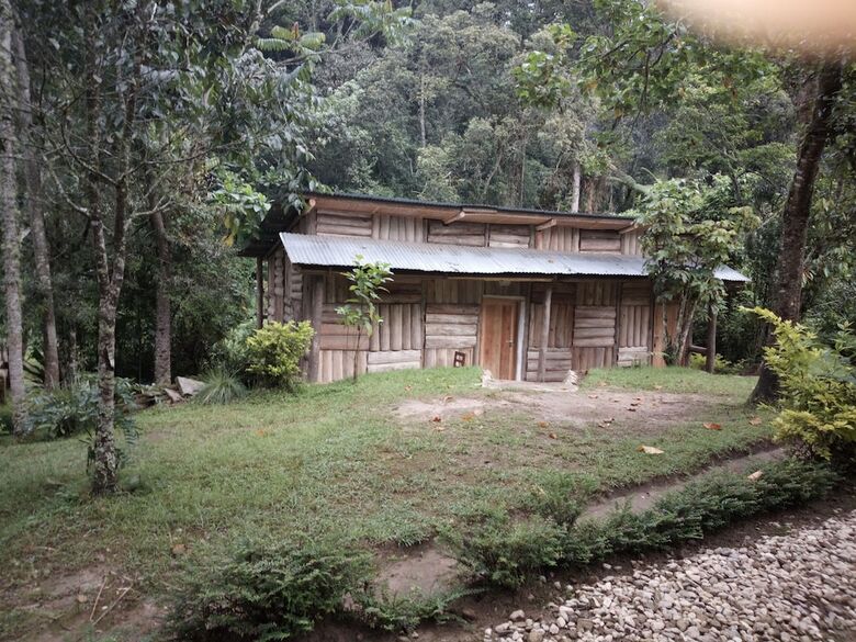 Apartamentos Nshongi Forest Camp