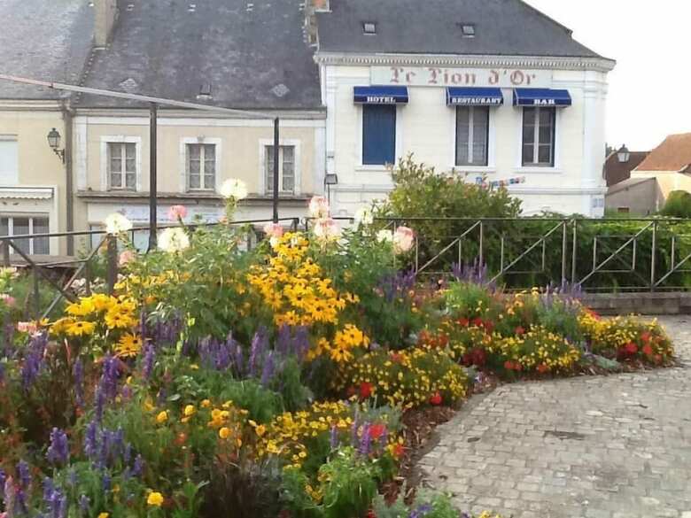 Hotel H�tel Le Lion D'or