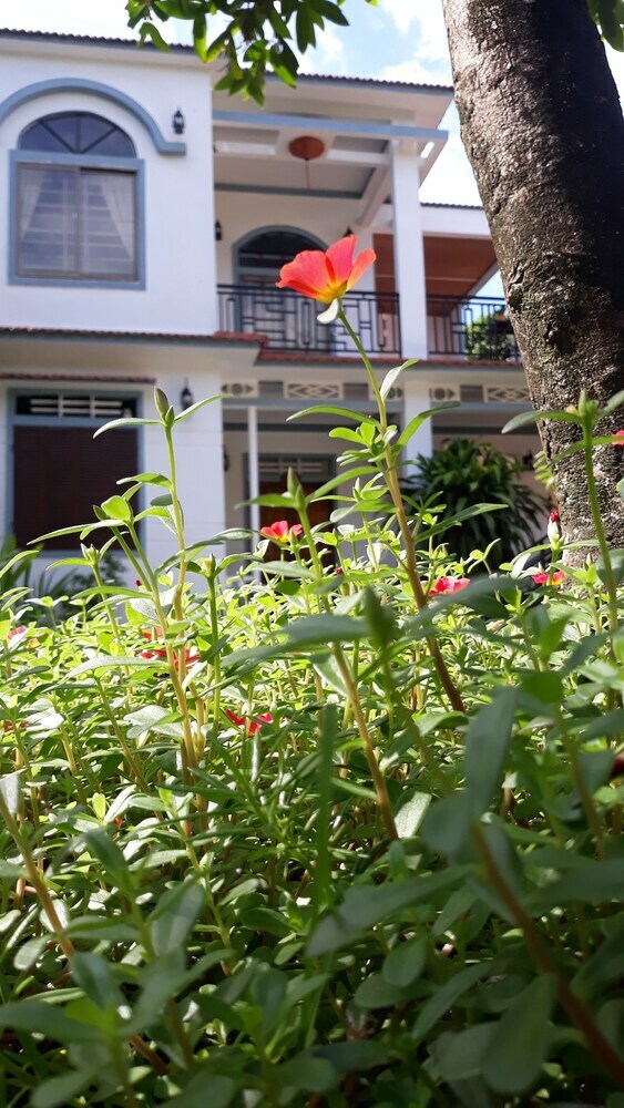 Hostal Tropical Valley Homestay - Hostel