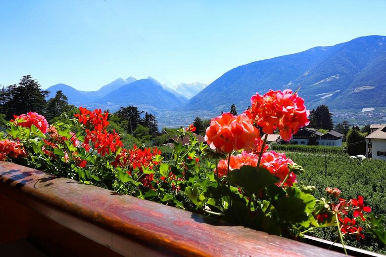 Guesthouse Pension Grafenstein