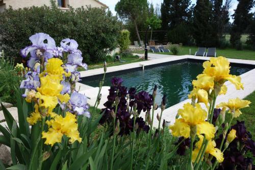 Bed & Breakfast Le Mas D'acanthe