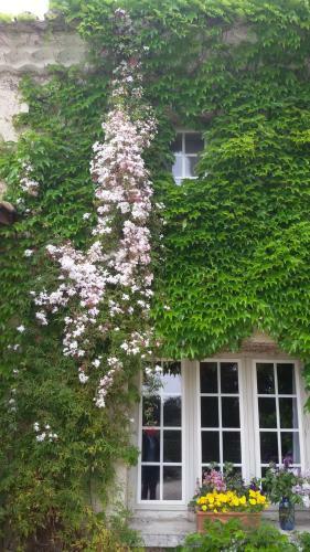 Bed & Breakfast Le Mas D'acanthe