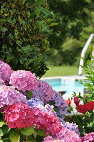 Hostal La Ferme Saint-vennec
