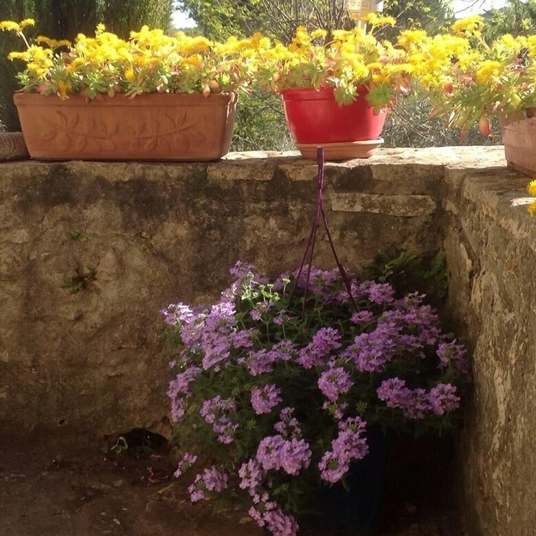 Bed & Breakfast La Martinade