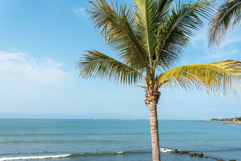 Hotel Casa Mar�a Resort