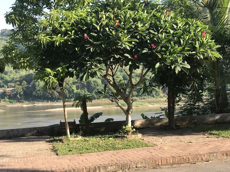 Hotel Thip Villa Mekong Riverside