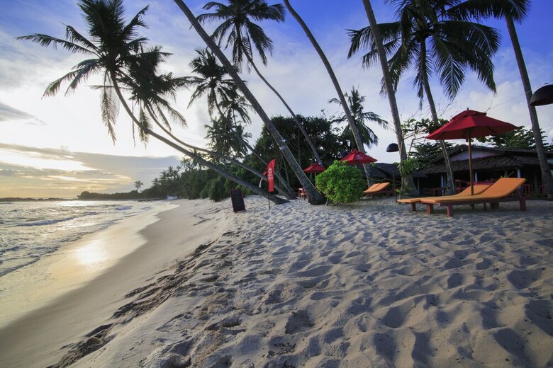 Hotel Mahi Mahi