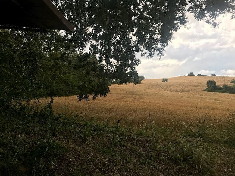 Agroturismo Agriturismo Canonici