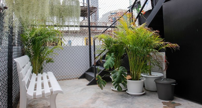 Hostal Tropical Summer Hostel
