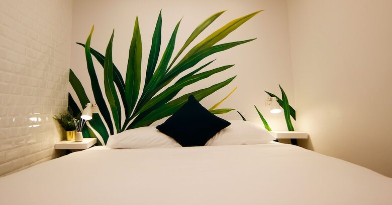 Hostal Tropical Summer Hostel