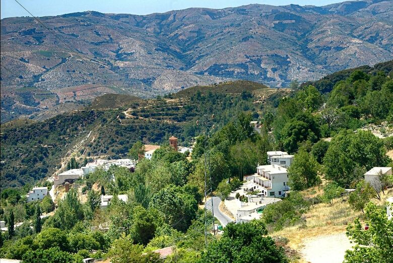 Hotel Los B�rchules