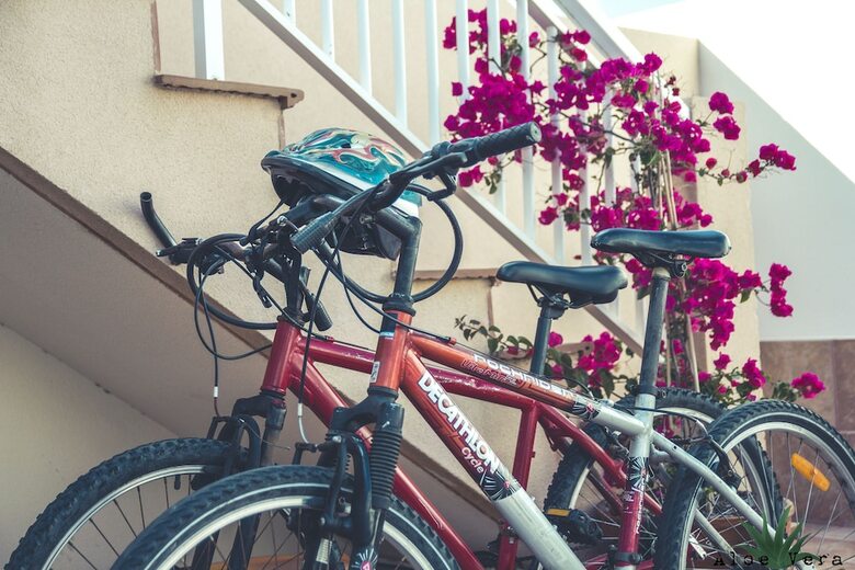 Hostal Aloe Vera Shared House - Hostel