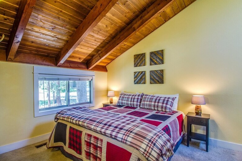 Conifer 7