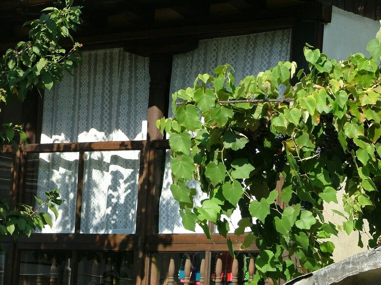 Hotel Tinkov Guest House