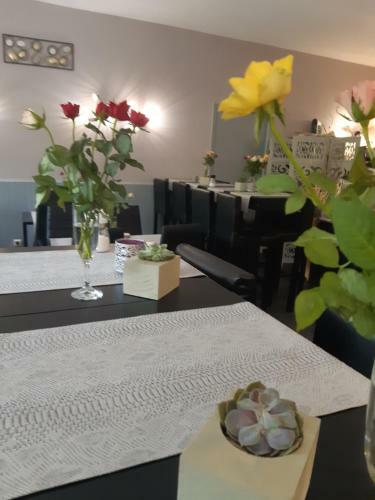Aparthotel Appart'h�tel Les Tilleuls