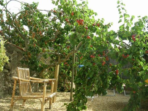 Bed & Breakfast La Grande Menu�re