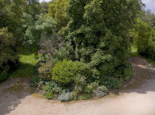 Bed & Breakfast Palais Briau