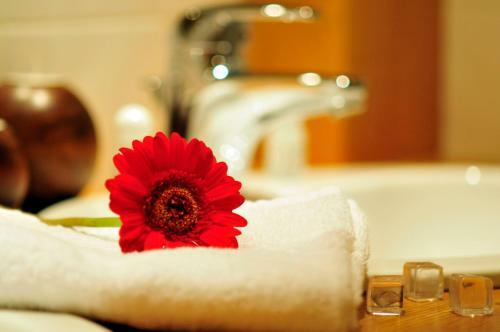 Aec Vacances - Forgeassoud