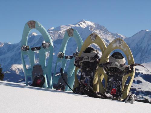 Aec Vacances - Forgeassoud