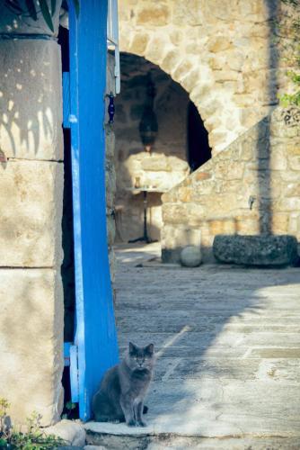 Hostal Chambres D'h�tes Et G�tes Le Mas Bleu & Spa Resort