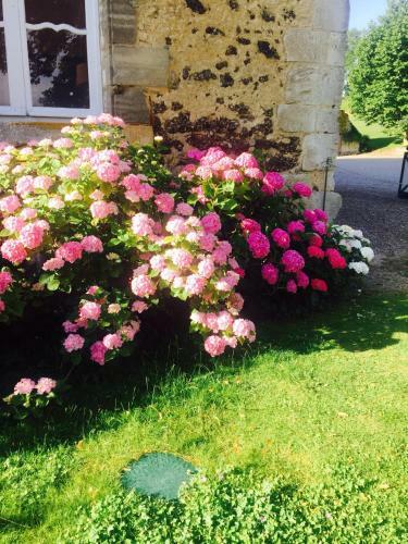 Bed & Breakfast Ch�teau De Briailles - Chambre D'h�tes