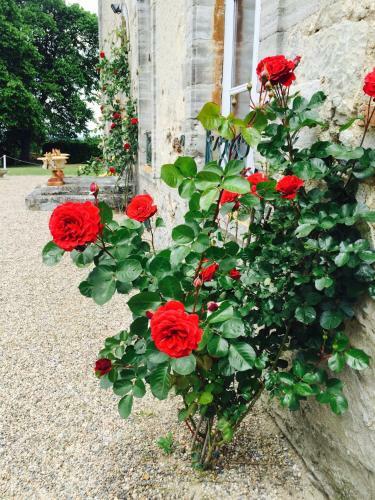 Bed & Breakfast Ch�teau De Briailles - Chambre D'h�tes