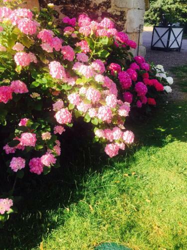 Bed & Breakfast Ch�teau De Briailles - Chambre D'h�tes