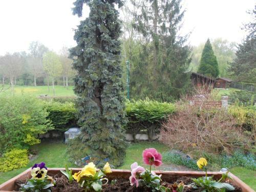 Bed & Breakfast Aux Marguerites