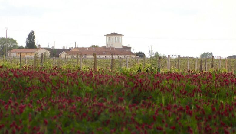 Hostal Ch�teau Trillon