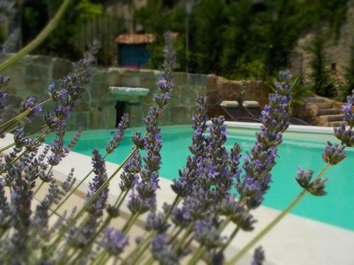 Bed & Breakfast Le Mas Des Mon�des
