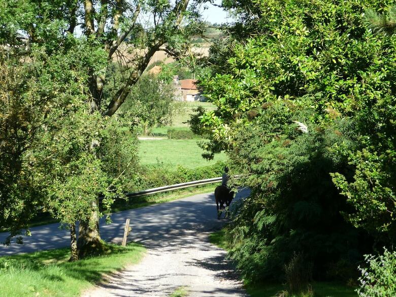 Bed & Breakfast Mont Blanc Location Bien-etre