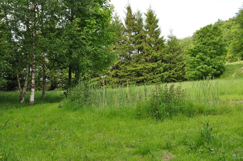 Bed & Breakfast Mont Blanc Location Bien-etre