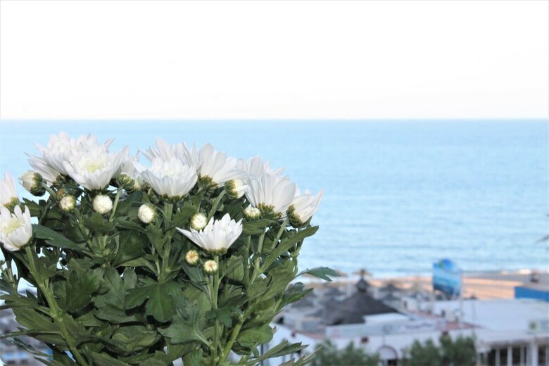 Apartamento   Sol Del Mar Mediterraneo