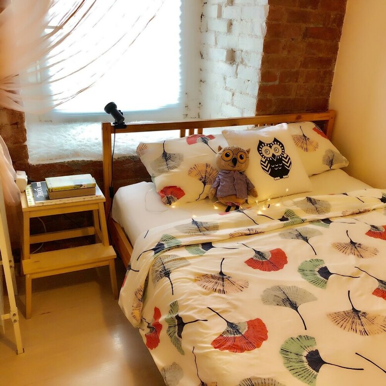 Hostal Sova Hostel