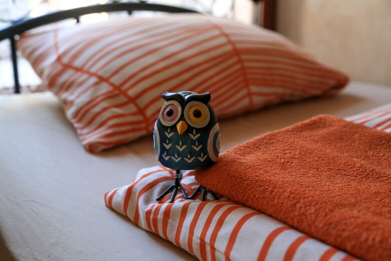 Hostal Sova Hostel