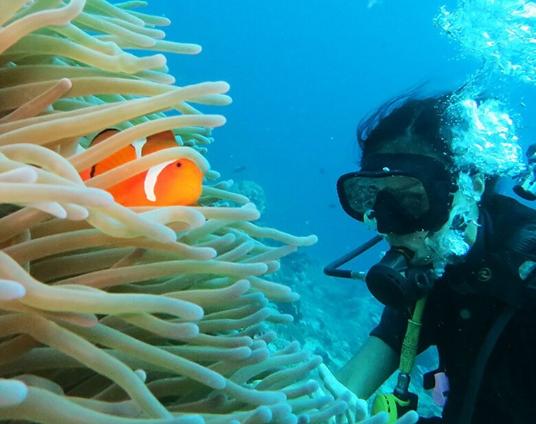 Hostal East Lombok Dive Hotel - Hostel