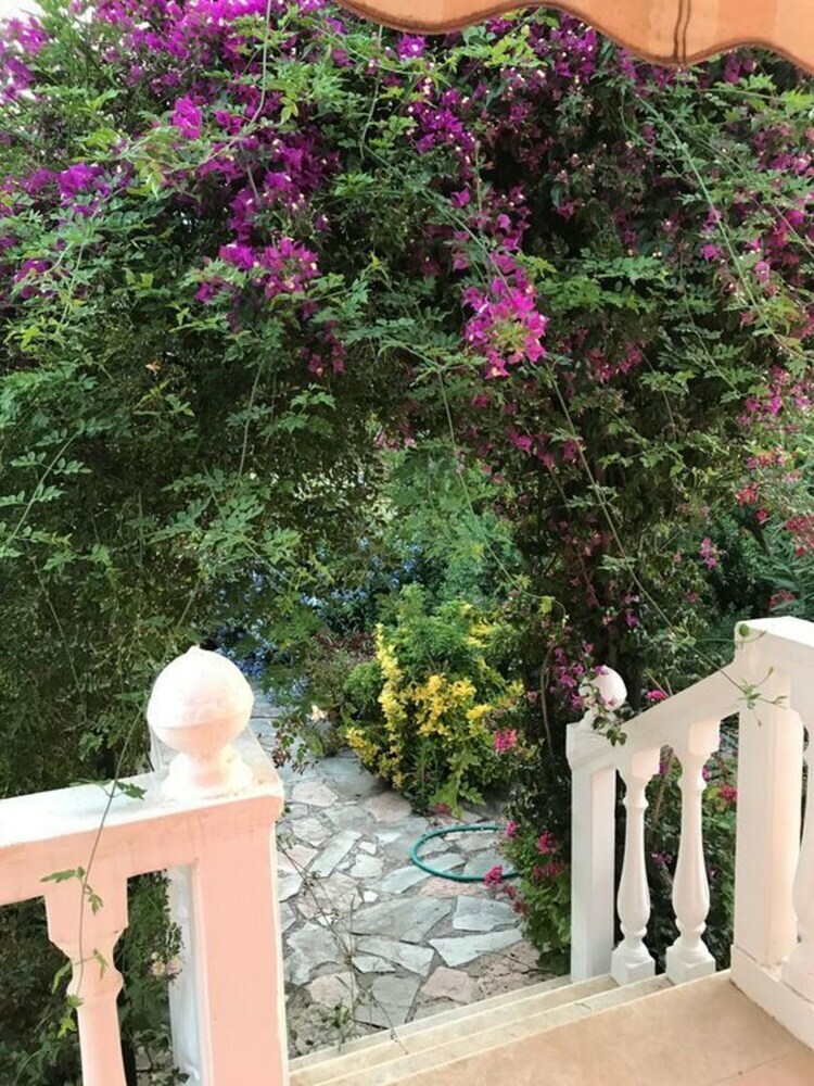 2 Bed House With Mountain View