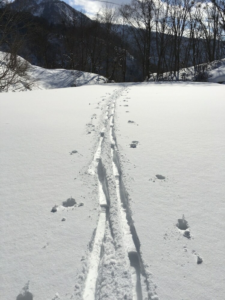 Villa Antelope Hakuba
